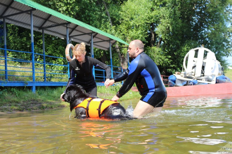 Фотография № 210664