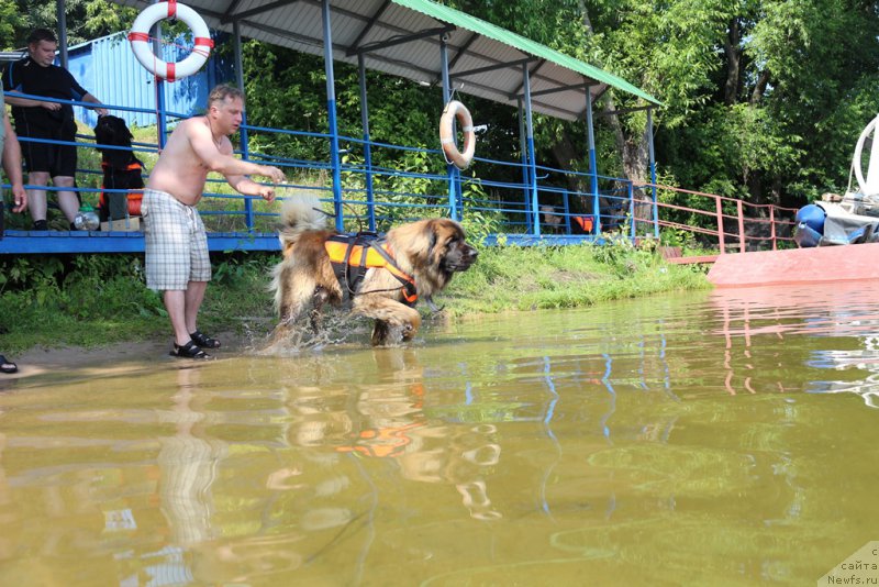 Фотография № 210665