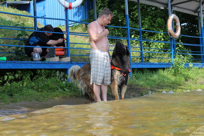 Фотография № 210668