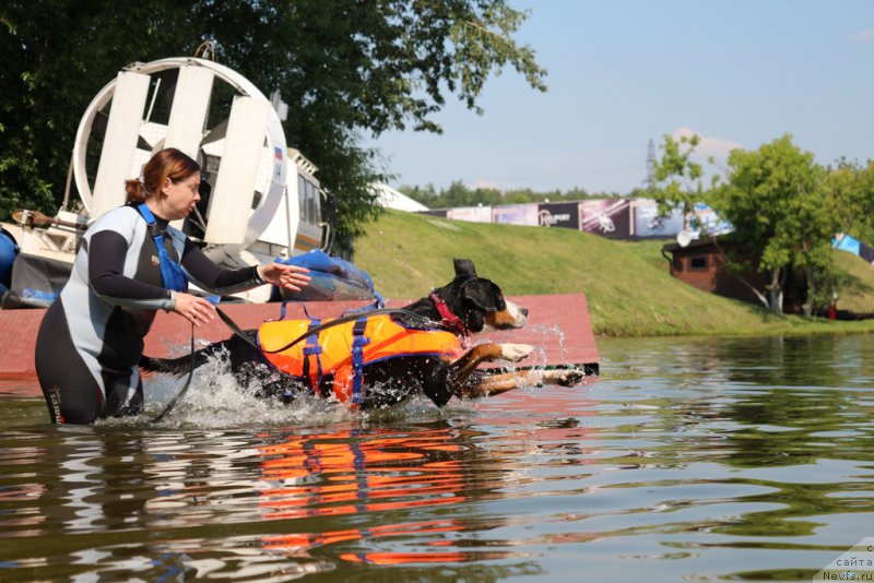 Фотография № 210669