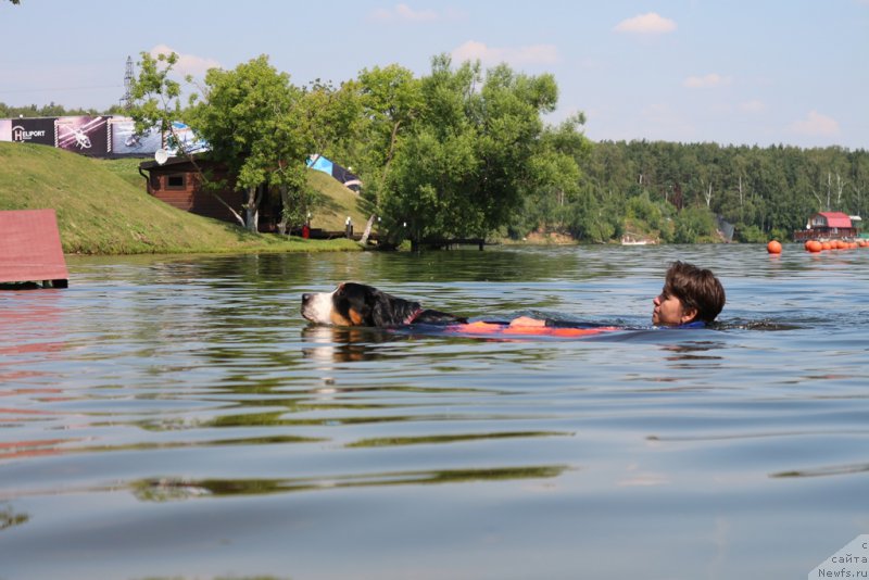 Фотография № 210670