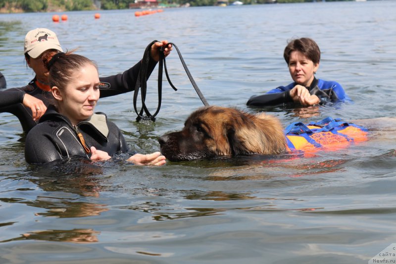 Фото: Ирина Складнова, Елена Богданова
