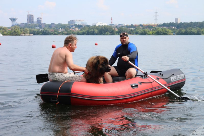 Фотография № 210673