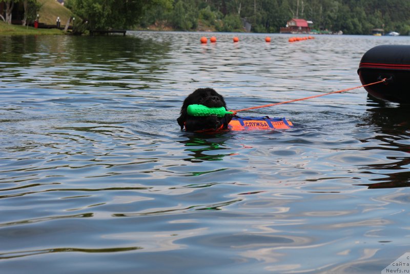 Фотография № 210675