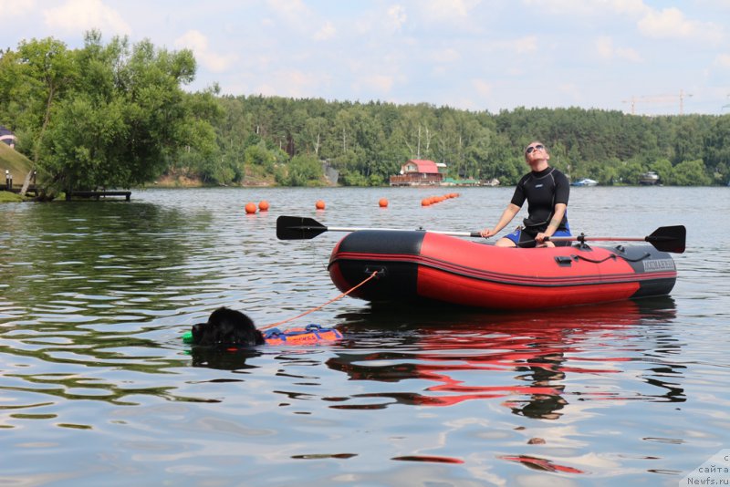 Фотография № 210677