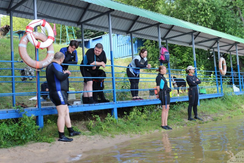 Фотография № 210678