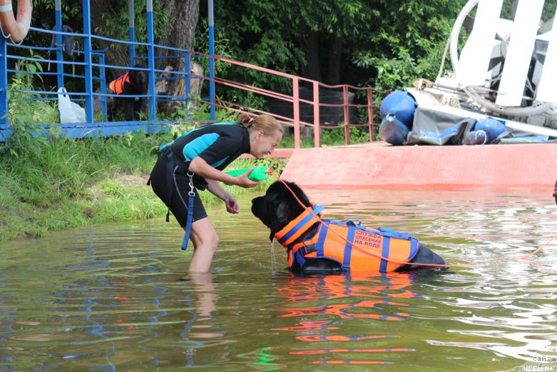 Фотография № 210679