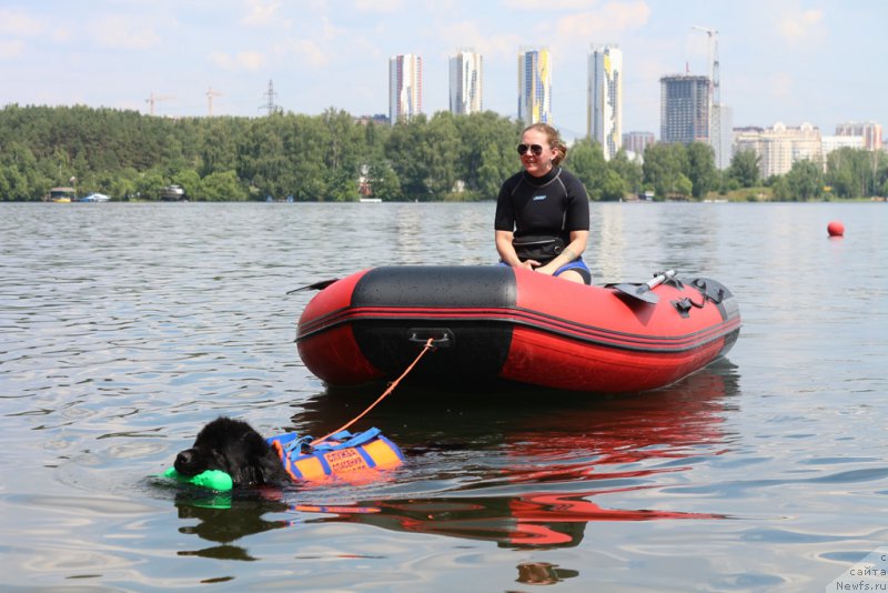 Фотография № 210680