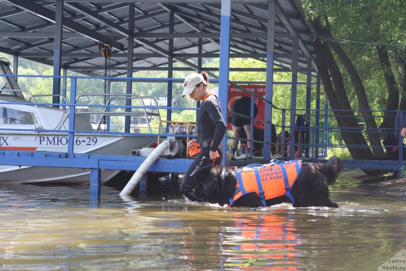 Фотография № 210682