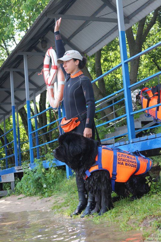 Фотография № 210683