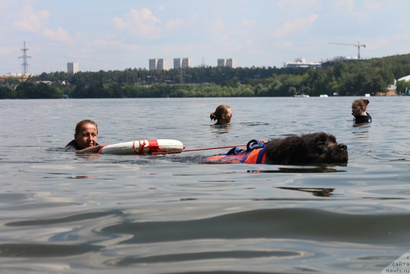 Фотография № 210686