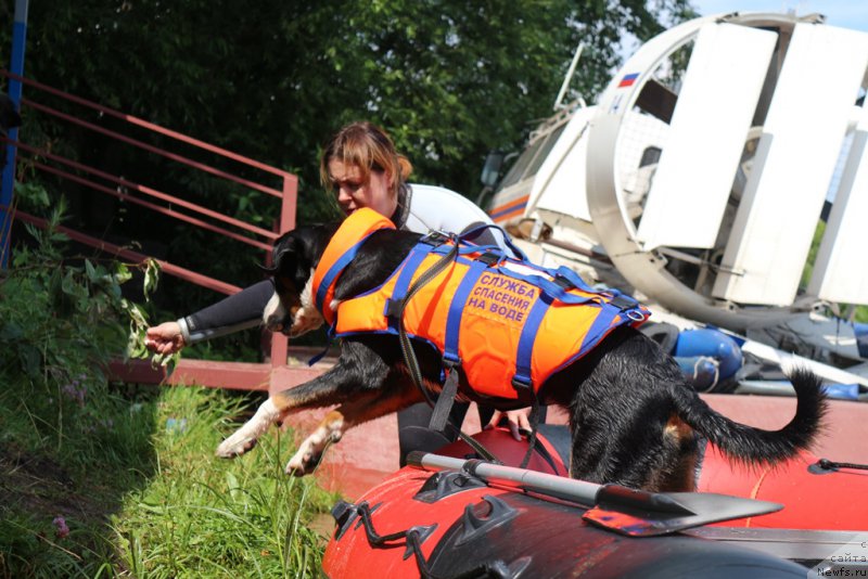 Фотография № 210688