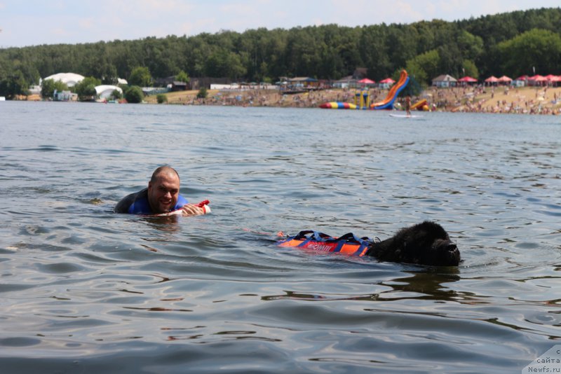 Фотография № 210689