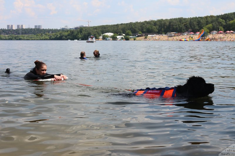 Фотография № 210690