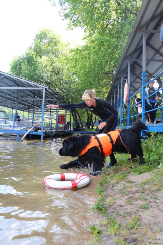 Фотография № 210691