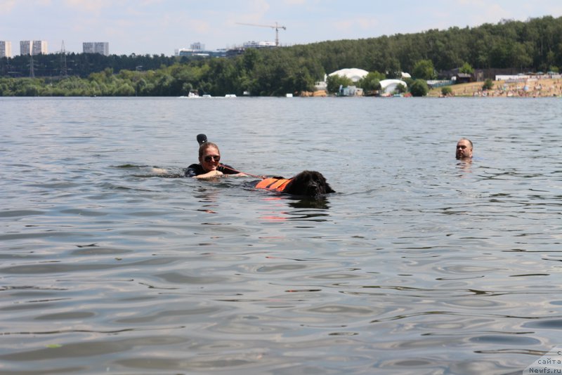 Фотография № 210692