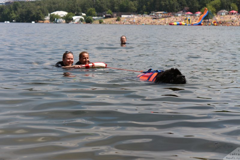 Фотография № 210693