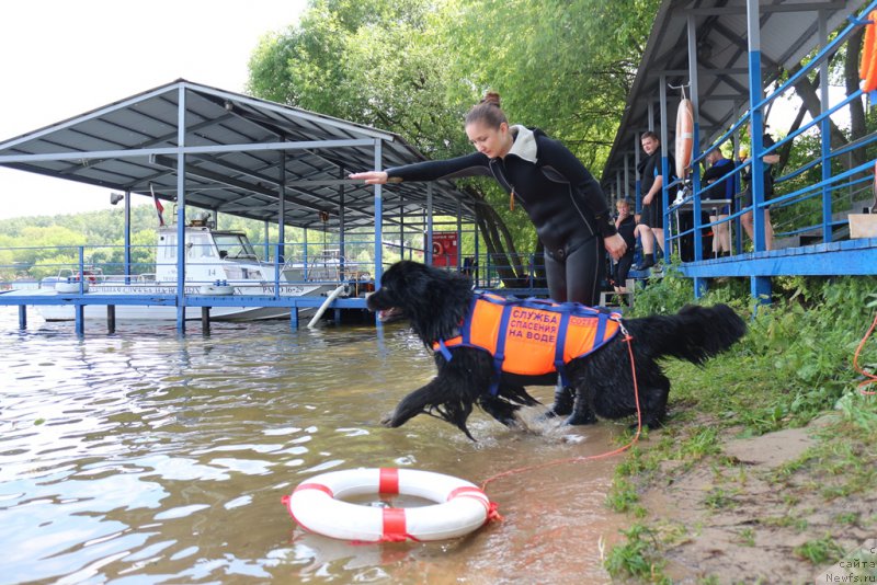 Фотография № 210694