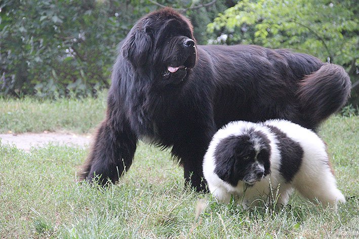 Фотография № 210698