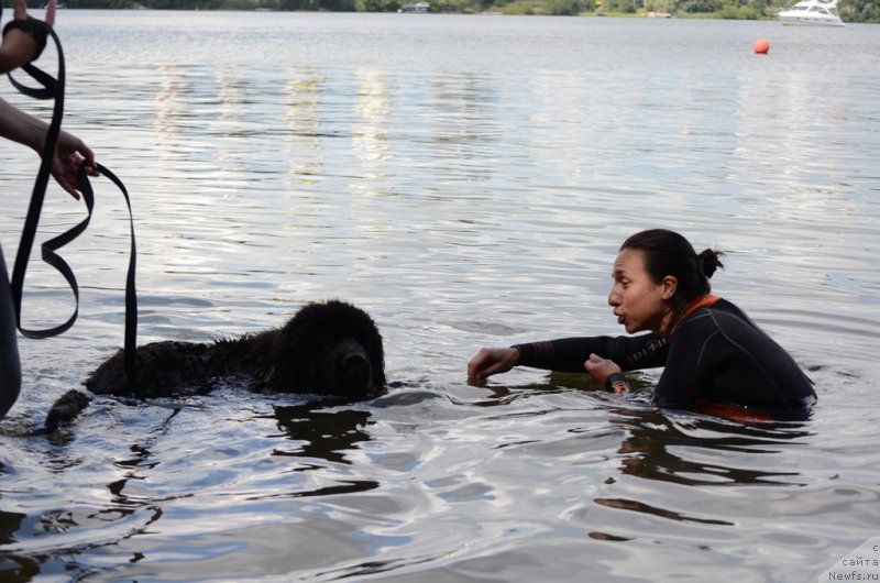 Фотография № 210708