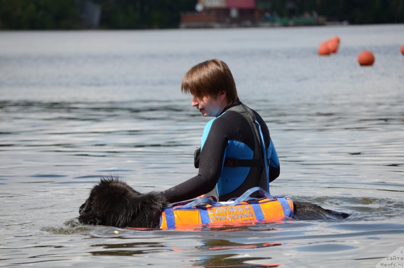 Фотография № 210709