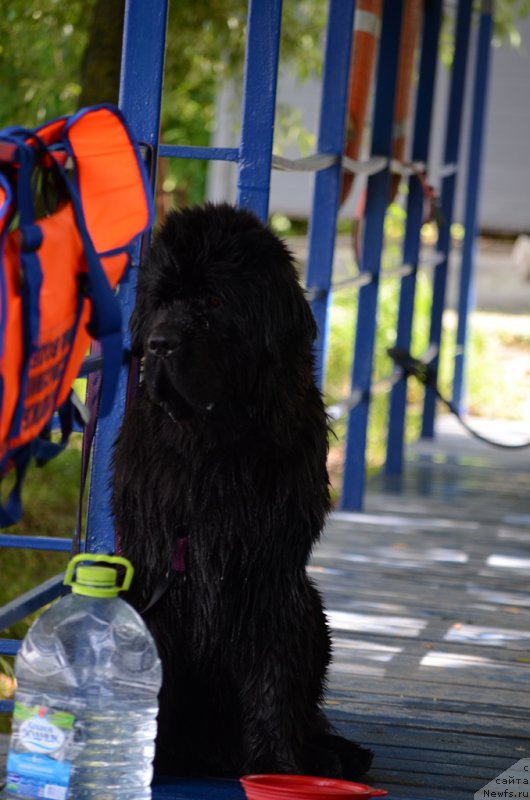 Фотография № 210711