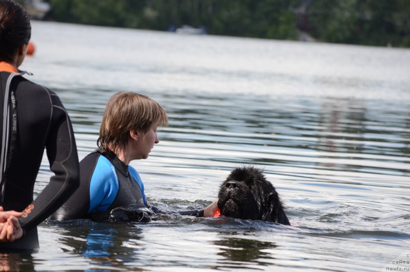 Фотография № 210712