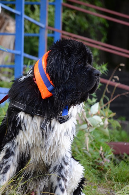 Фотография № 210713