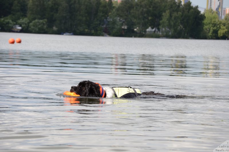 Фотография № 210717