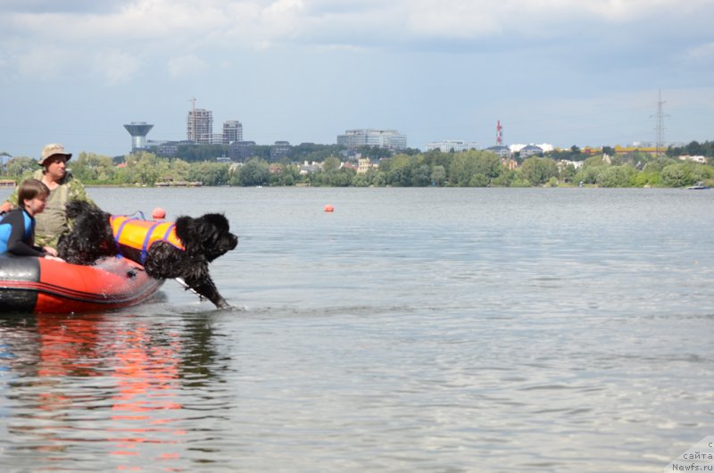 Фотография № 210720