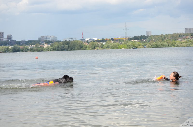 Фотография № 210721