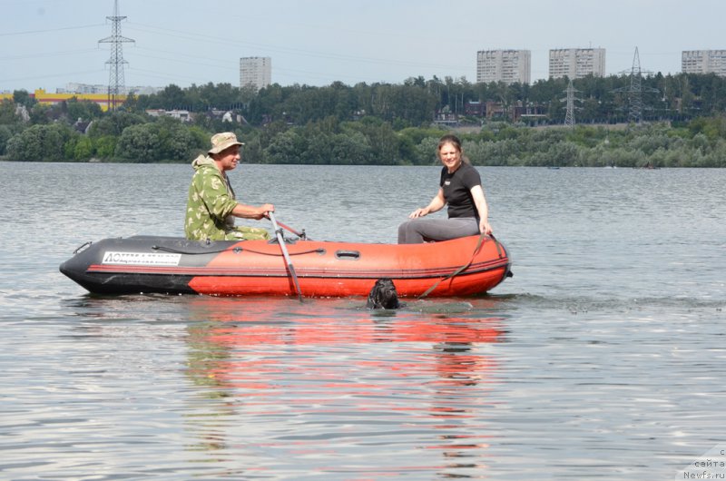 Фотография № 210726