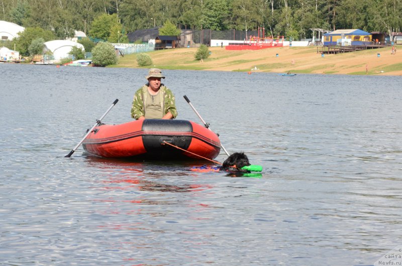 Фотография № 210730