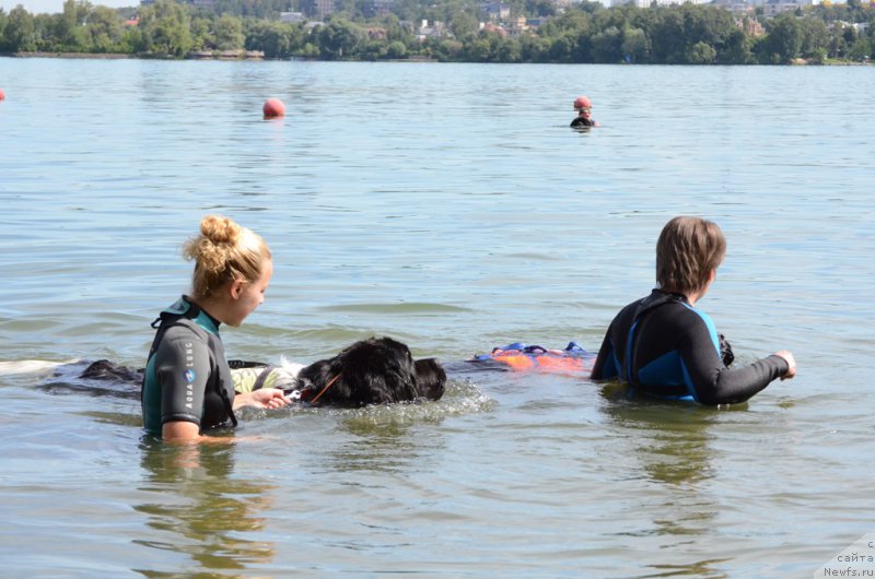 Фотография № 210732