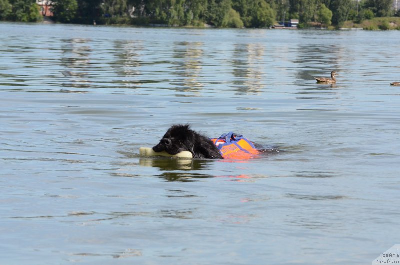 Фотография № 210734