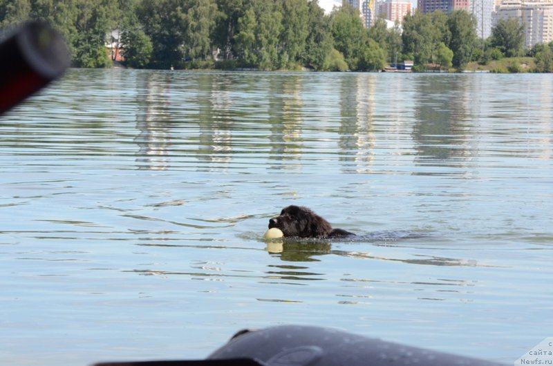 Фотография № 210736