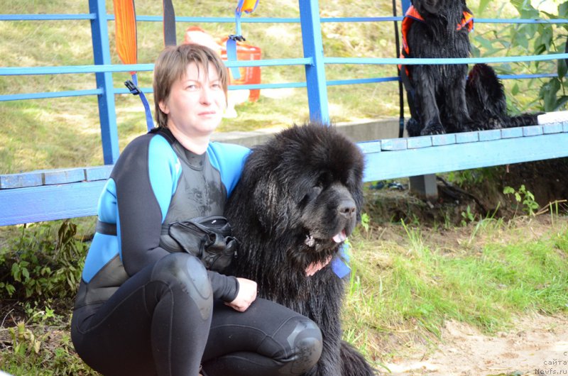 Фотография № 210738