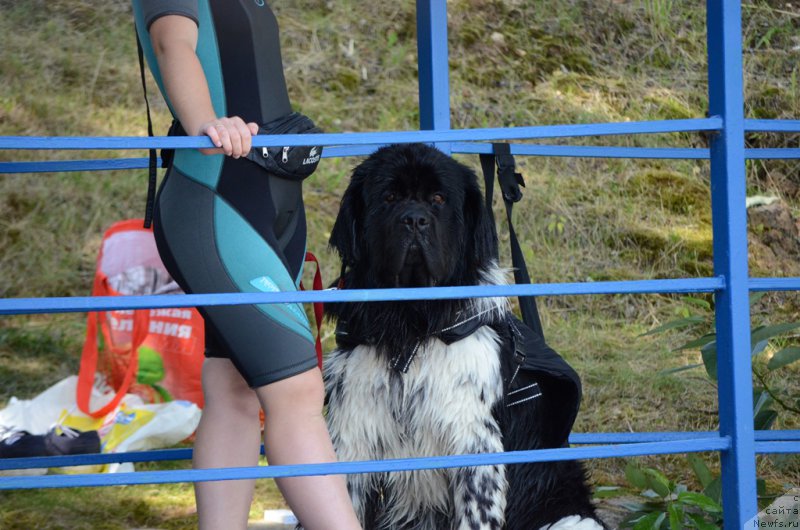 Фотография № 210742