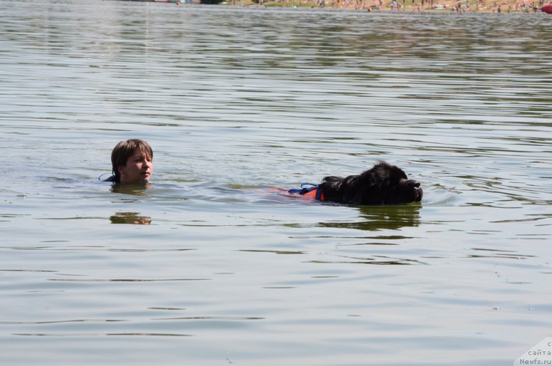 Фотография № 210743