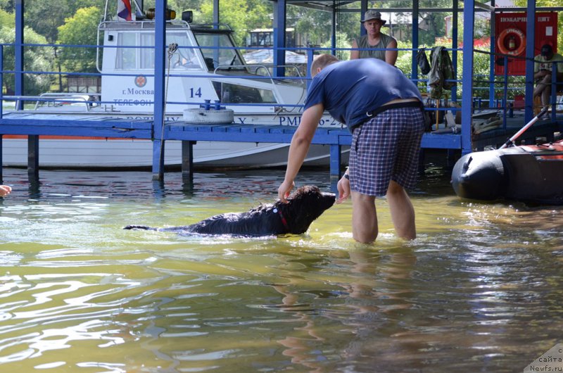 Фотография № 210744