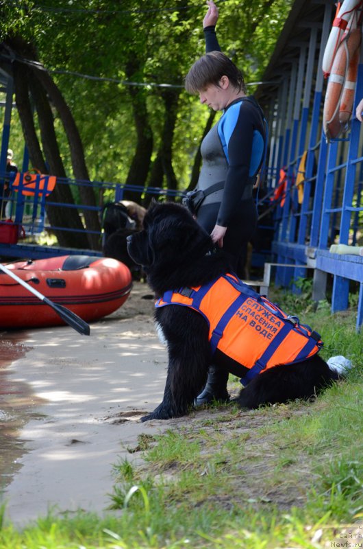 Фотография № 210745