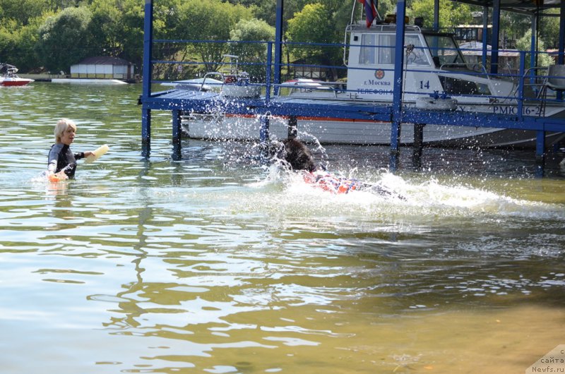 Фотография № 210748