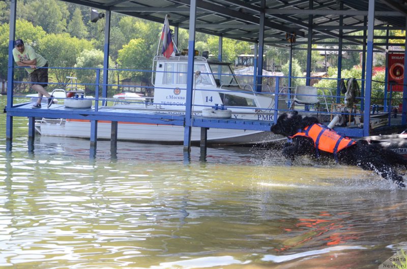 Фотография № 210750