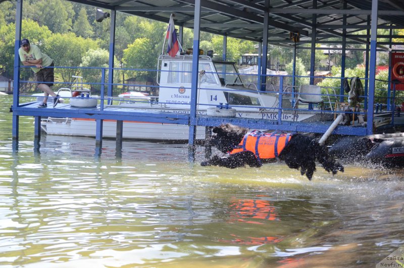 Фотография № 210751