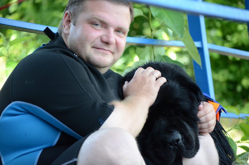 Фотография № 210753