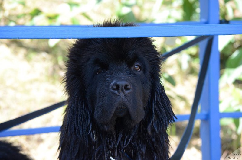 Фотография № 210754