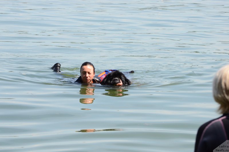 Фотография № 210755