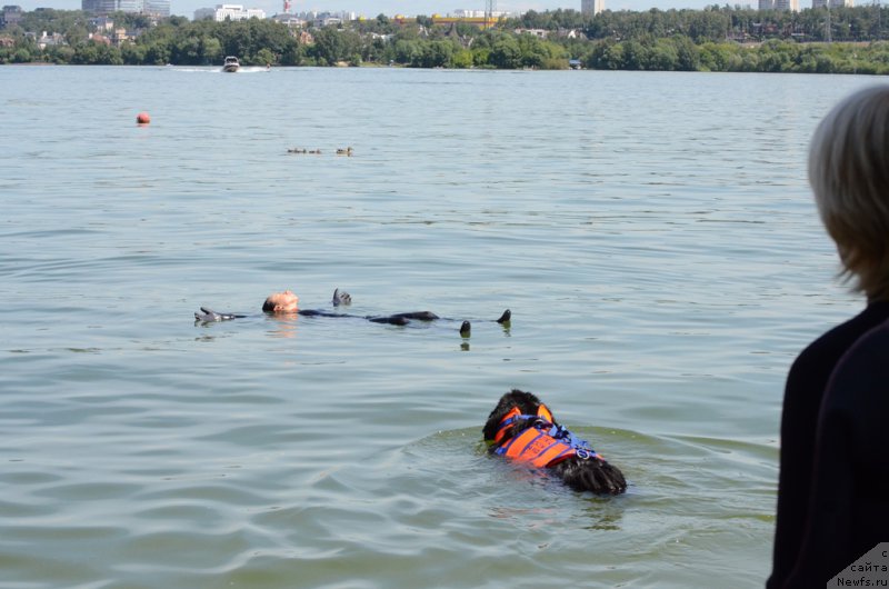 Фотография № 210756