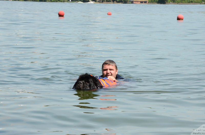 Фотография № 210759