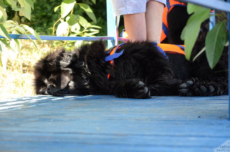 Фотография № 210760